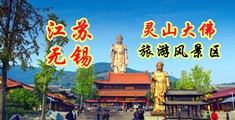 91热爆亚洲精品网江苏无锡灵山大佛旅游风景区